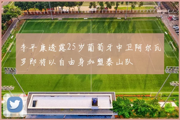 李平康透露25岁葡萄牙中卫阿尔瓦罗即将以自由身加盟泰山队